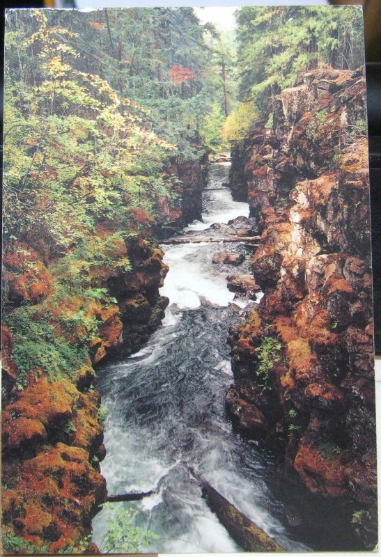 United States Rogue River Gorge Union Creek Oregon - posted 2000