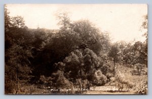 J87/ East Palestine Ohio RPPC Postcard c1910 Pine Hollow View 859