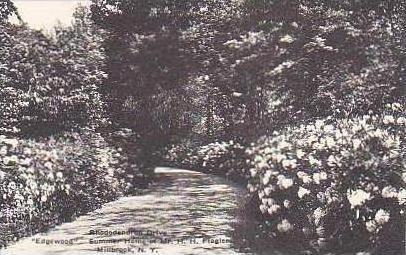 New York Millbrook Rhododendron Drive Edgewood Summer Home of Mr H H Flagler ...