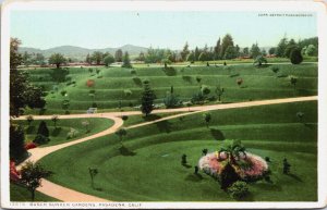 Busch Sunken Gardens Pasadena California Vintage Postcard C105