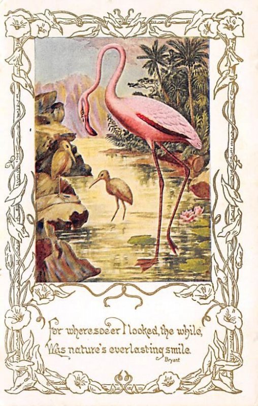 Flamingo, Water Bird Flamingos Unused 