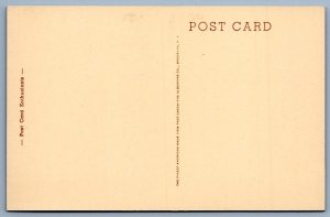 1910's TWO SWEET KITTENS ALBERTYPE POST CARD ENTHUSIASTS ANTIQUE POSTCARD