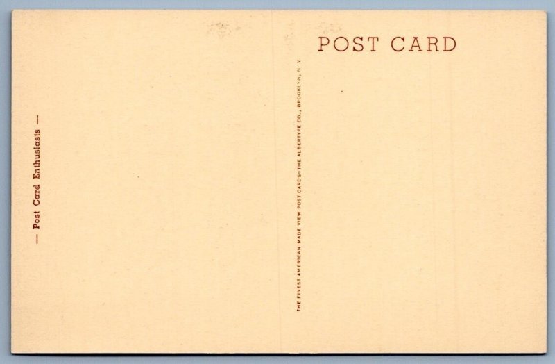 1910's TWO SWEET KITTENS ALBERTYPE POST CARD ENTHUSIASTS ANTIQUE POSTCARD