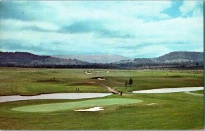 CANAAN VALLEY GOLF COURT Course Davis, West Virginia Vintage postcard KH2