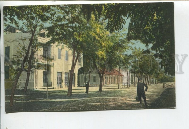 460515 ROMANIA Braila Lacul Sarat municipal alley Vintage postcard