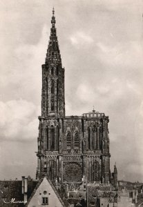 Postcard La Cathedrale Parish Church Of Our Lady of Strasbourg Germany