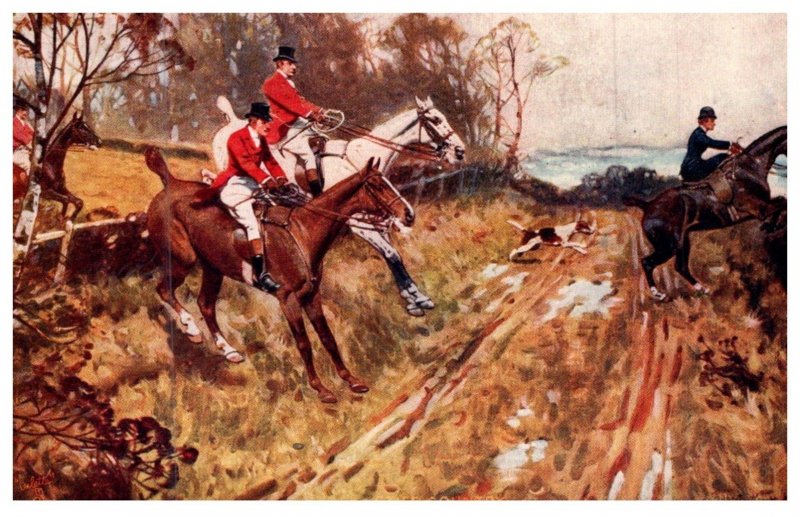 Dog  ,Stiff Country  ( Fox Hunt )