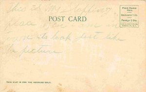 Randolph Hotel Elkins West Virginia 1907c postcard