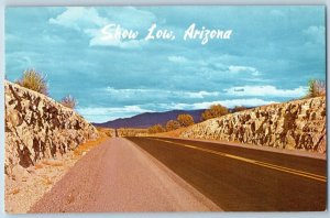 Show Low Arizona Postcard Beautiful Highway Springerville c1960 Vintage Antique