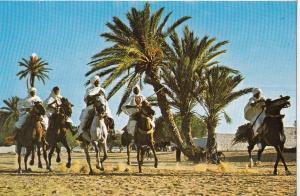 BF17877 fantasia types horses  tunisia front/back image