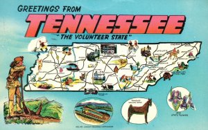 Vintage Postcard 1969 Greetings From Tennessee The Volunteer State Nashville TN