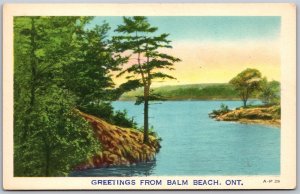 Postcard c1930s Greetings From Balm Beach Ontario Scenic View by Ashton-Potter A
