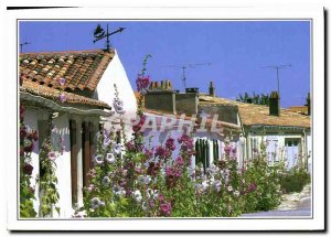 Modern Postcard Ile d'Aix typical alley with Tremieres Roses