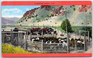 Postcard - A Western Corral