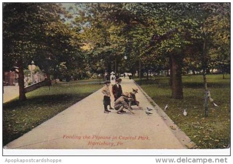 Pennsylvania Harrisburg Feeding The Pigeons In Capitol Park