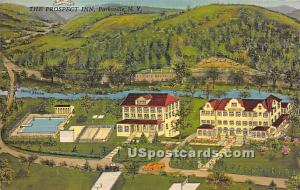 The Prospect Inn Parksville NY Postal used unknown