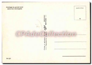 Postcard Modern Hitch From Northern sled dogs