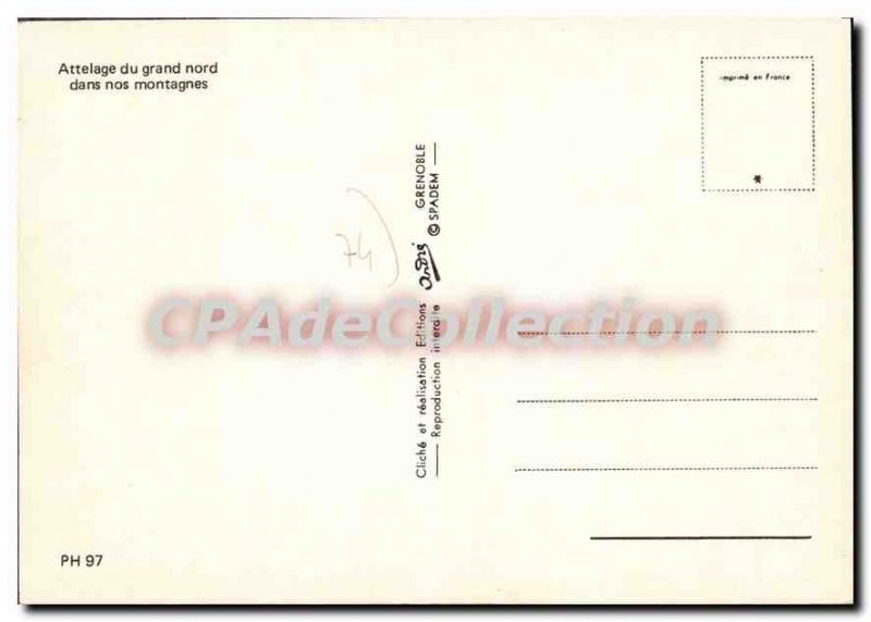 Postcard Modern Hitch From Northern sled dogs