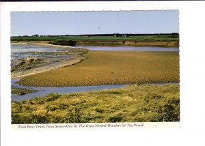 Tidal Bore, Truro, Nova Scotia