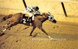 Meadow Stable's Secretairat in full Stride, Blemont Park Saratoga Springs, NY...