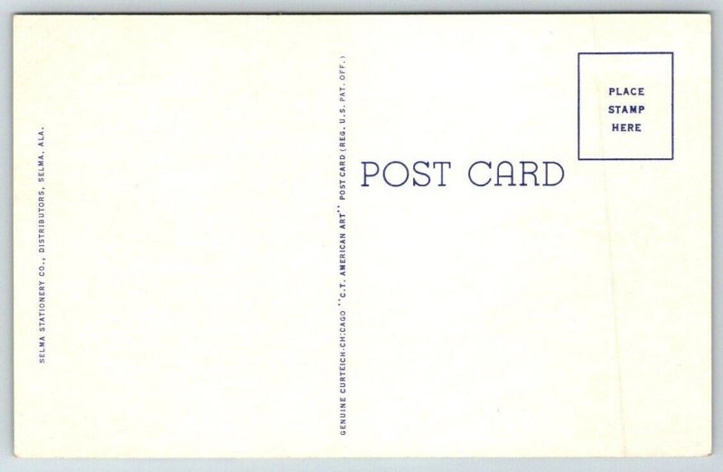 Selma, Alabama - First Baptist Church - Postcard