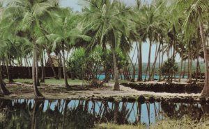 Hawaii Big Island City Of Refuge National Historical park The Royal Fish Ponds