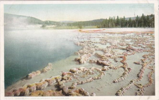 Sapphire Pool Upper Geyser Basin Yellowstone National Park Detroit Publishing