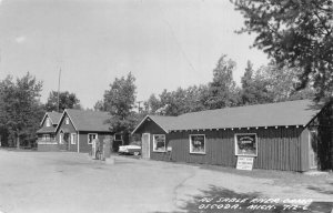 Oscoda Michigan Au Sable River Camp Real Photo Vintage Postcard AA72724