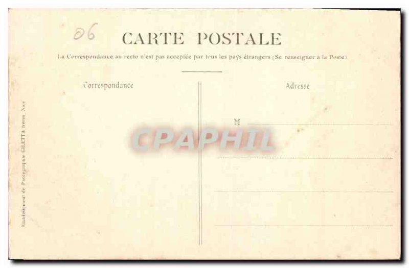 Old Postcard Monte Carlo Gardens Palm Group