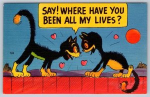 Say! Where Have You Been All My Lives? Black Cats, 1940s Linen Comic Postcard