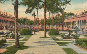 Vintage Postcard 1930's Looking West in Ringling Art Museum Sarasota FL Florida