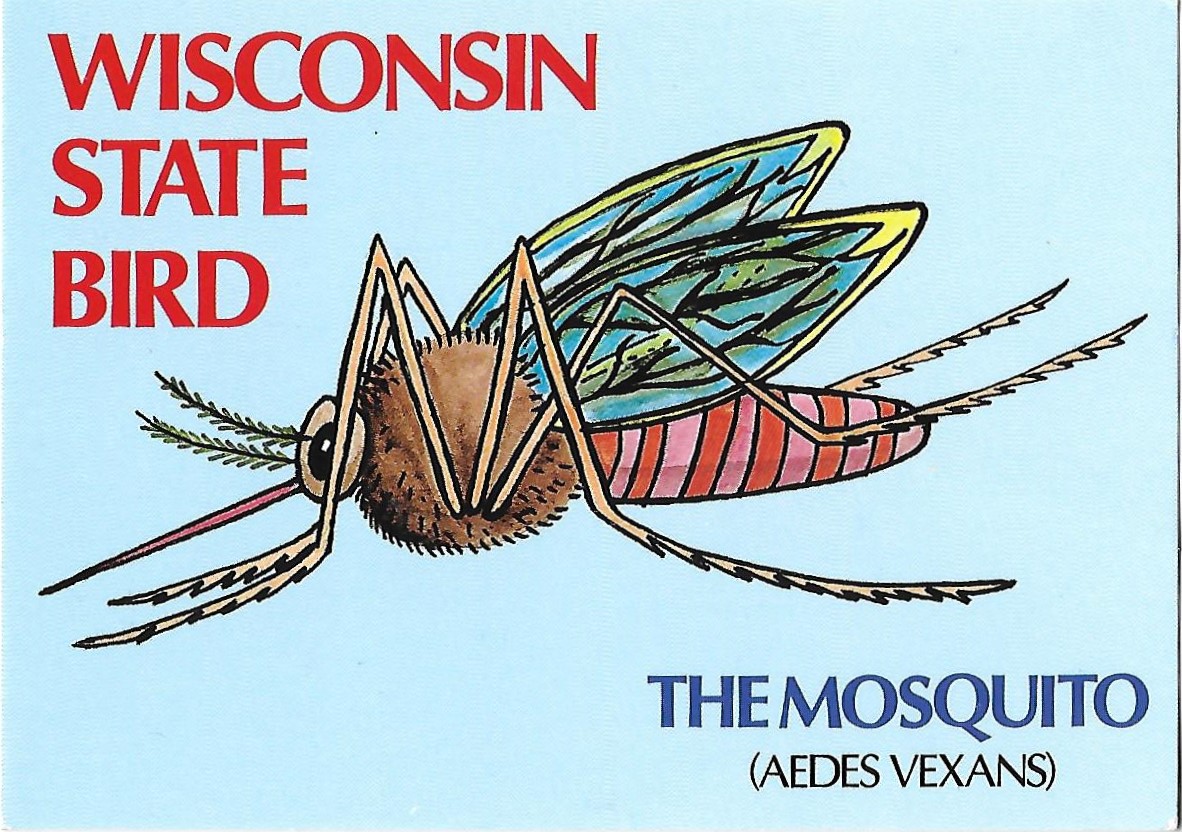 Wisconsin State Bird The Mosquito (Aedes Vexans) 4 by 6 Size United