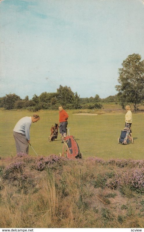 Britian's Countryside , ON THE GOLF LINKS , 50-60s