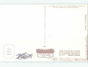 Pre-1980 Risque DANCING GIRL FROM TAHITI hn4763