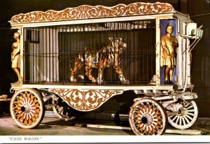 Florida Sarasota Ringling Museum Of The Circus Cage Wagon