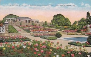 Texas Fort Worth A Section Of The Rose Garden Rock Springs Park 1948