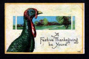 U S 1916 Thanksgiving Picture Postcard!