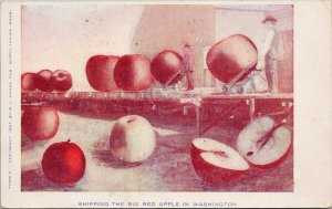 WA 'Shipping The Red Apples in Washington' c1907 ML Oakes Postcard G23