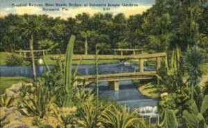 Sarasota Jungle Gardens - Florida FL  