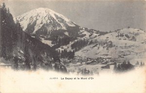 Switzerland Le Sepey et Mont d'Or Mountain vintage postcard