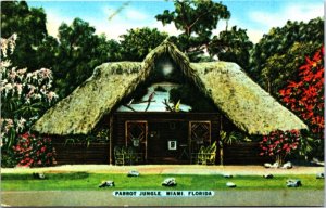 USA Parrot Jungle Miami Florida Chrome Postcard 09.73