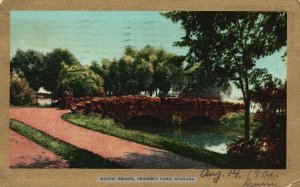 Vintage Postcard 1906 View of Rustic Bridge Prospect Park Niagara New York N. Y.