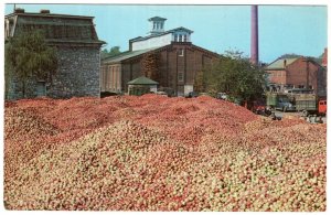 Martinsburg, West Virginia, A Million Bushels of Apples