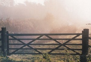 Misty Morning at Cantley Norfolk Fields Gate Rare Postcard