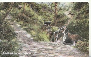 Sussex Postcard - Ecclesbourne Glen - Hastings - Ref TZ4202