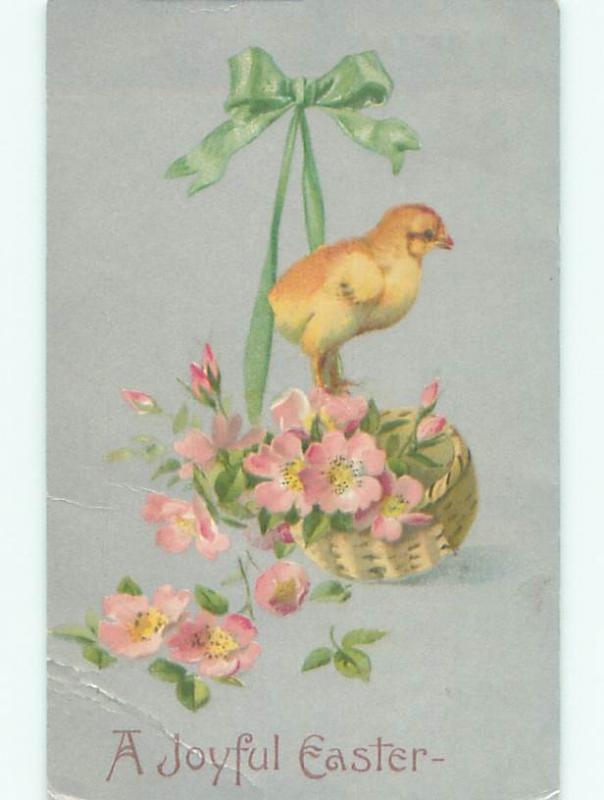 Divided-Back EASTER CHICK SCENE Cute Postcard AA0891