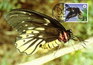 Papua New Guinea, Queen Alexandra's Birdwing Butterfly Postcard (1988)