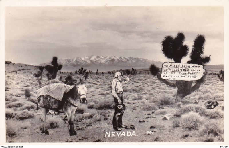 RP: Nevada , 40s-50s; Desert , Man & Donkey, A long ways away from civilization