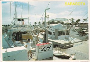 Florida Sarasota Yacht Basin Charter Boat Shark