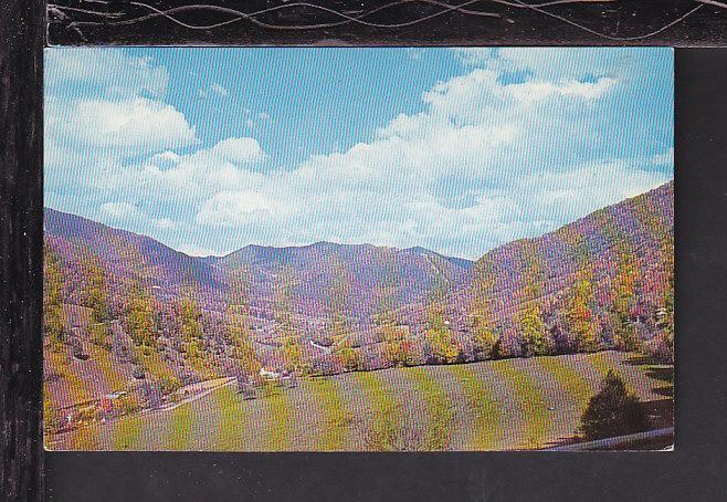 Maggie Valley,Western NC Postcard BIN 